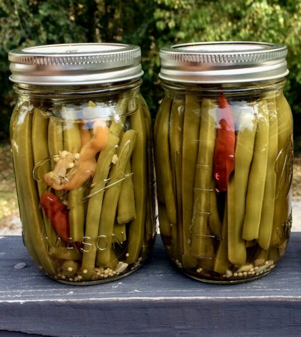 Pickled Green Beans - TPK