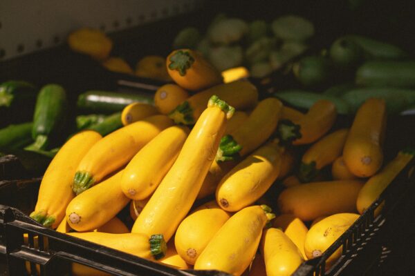 Experimental Squash